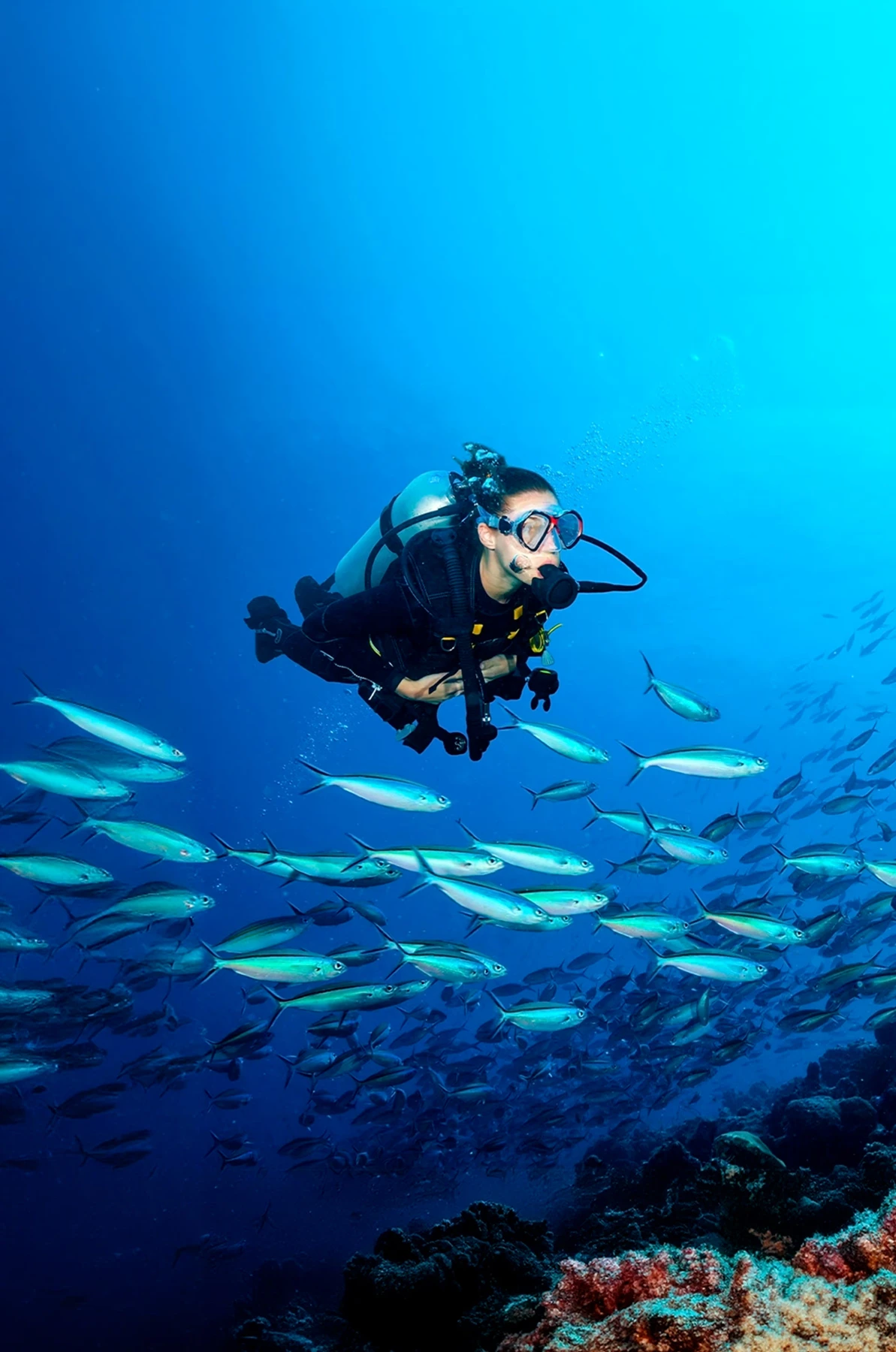 Scuba diving trip image