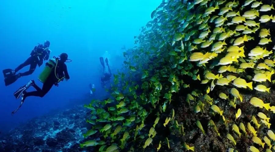 Scuba diving trip image